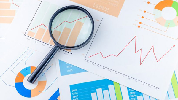 Báo cáo tài chính bao gồm những gì? 