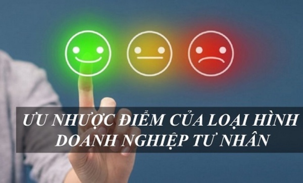 Những ưu nhược điểm của loại hình doanh nghiệp tư nhân