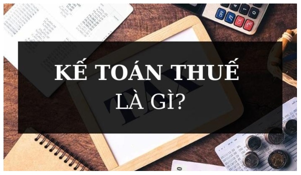 Kế toán thuế có nhiệm vụ báo cáo, tính toán và khai báo thuế cho doanh nghiệp