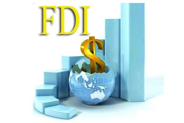 Doanh nghiệp FDI